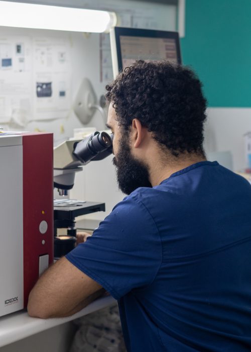 Analíticas clínicas en laboratorio propio