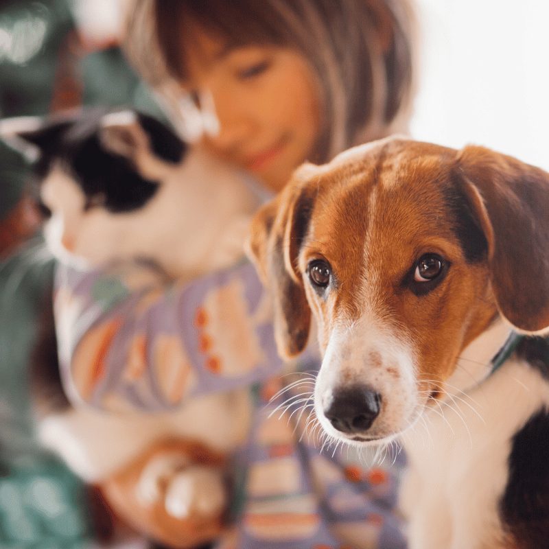 Familia y mascota