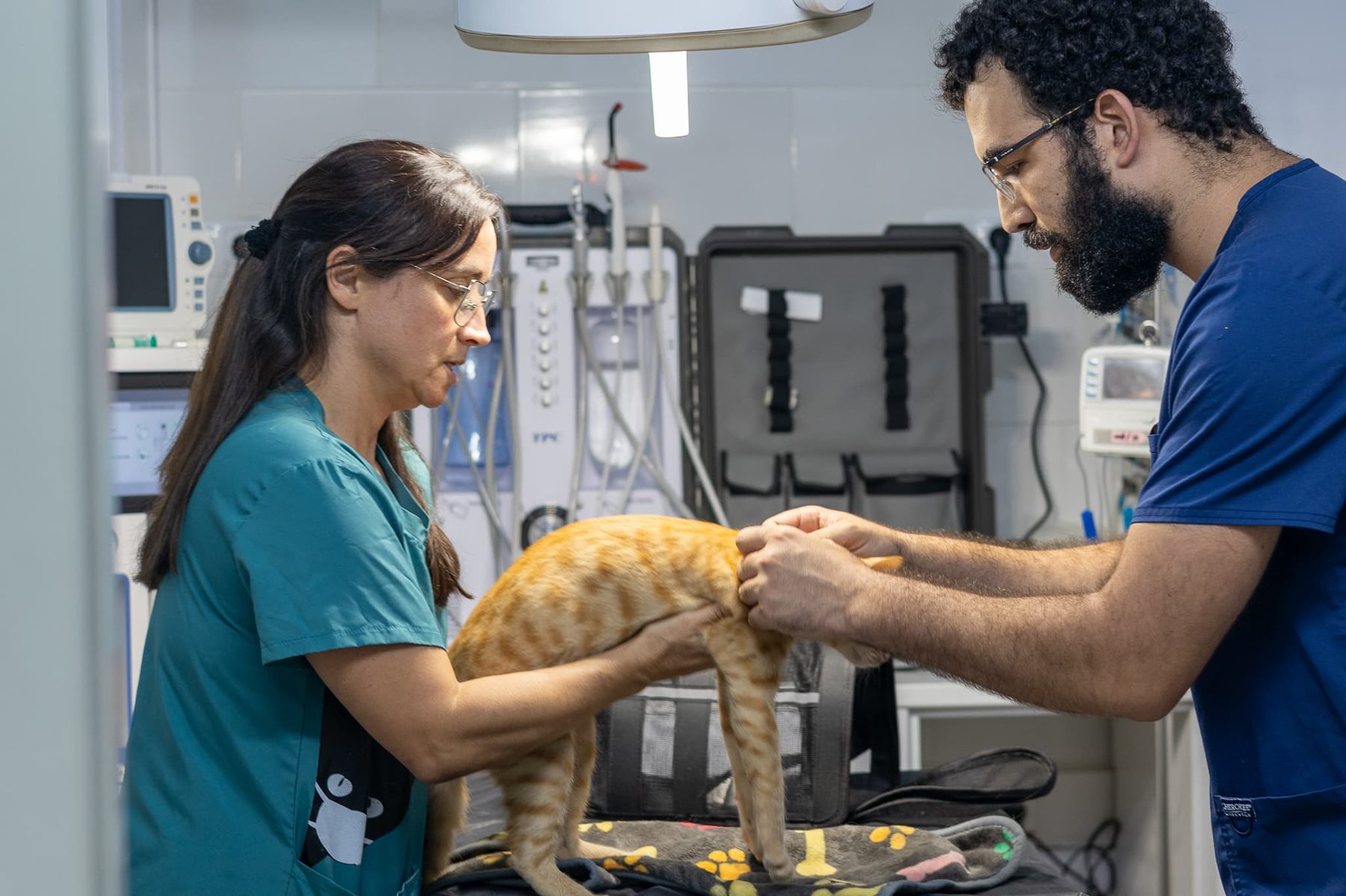 Sala de consulta de la clínica veterinaria